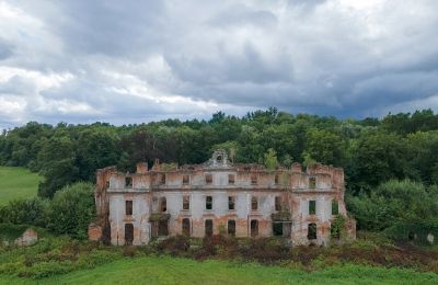 Pałac na sprzedaż Słobity, województwo warmińsko-mazurskie:  Widok z przodu