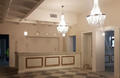 Pałac na sprzedaż Sosnowiec, Chemiczna 12, Śląskie, Wejście
