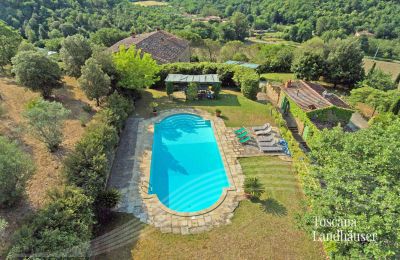 Dom na wsi na sprzedaż Arezzo, Toskania:  RIF 2993 Blick auf Pool und Anwesen