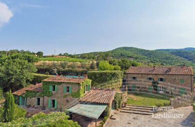 Dom na wsi na sprzedaż Arezzo, Toskania:  RIF 2993 Blick auf Anwesen 