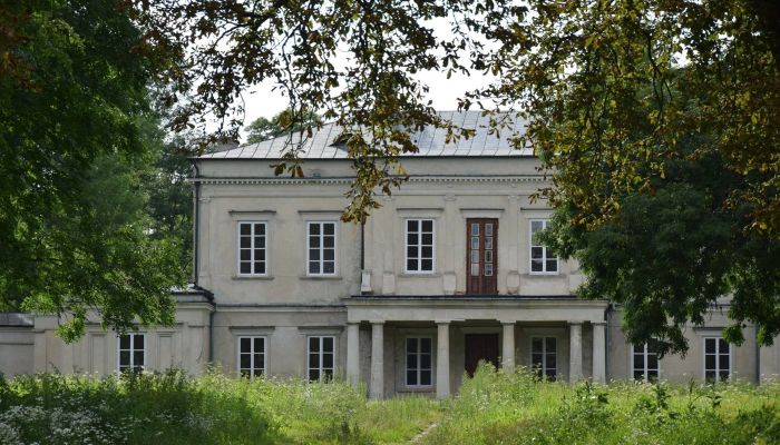 Pałac na sprzedaż Dołhobyczów, województwo lubelskie,  Polska