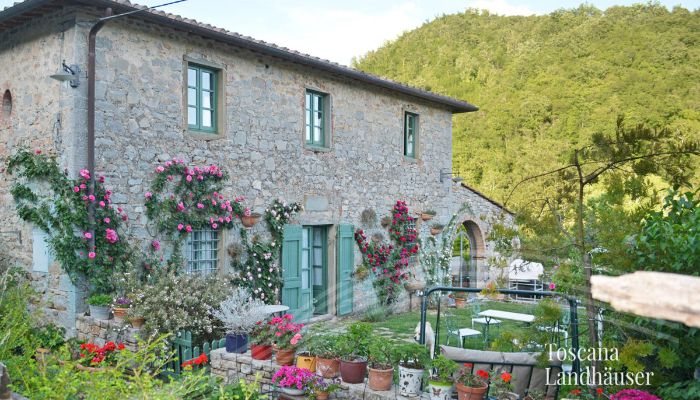 Dom na wsi Gaiole in Chianti 4
