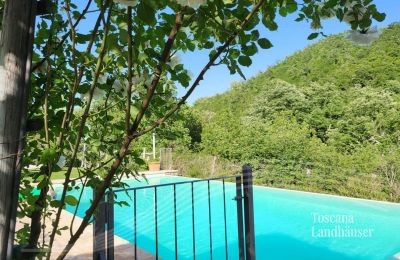 Dom na wsi na sprzedaż Gaiole in Chianti, Toskania:  RIF 3003 Weg zum Pool