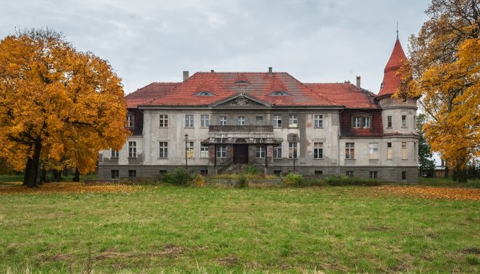 Pałac na sprzedaż Karczewo, województwo wielkopolskie,  Polska