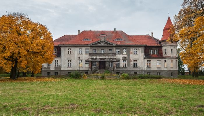 Pałac na sprzedaż Karczewo, Wielkopolskie,  Polska