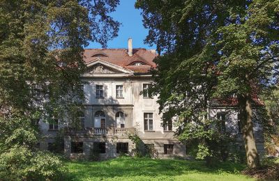 Pałac na sprzedaż Karczewo, Wielkopolskie, Park