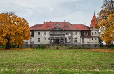 Pałac na sprzedaż Karczewo, województwo wielkopolskie:  Widok z przodu