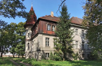 Pałac na sprzedaż Karczewo, województwo wielkopolskie:  Widok z boku