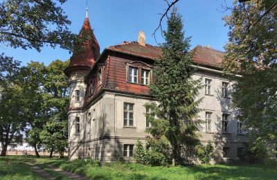 Pałac Karczewo, Wielkopolskie