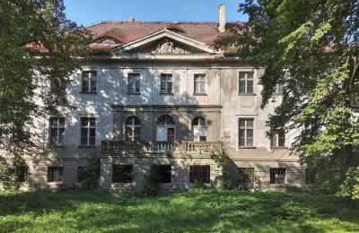 Pałac na sprzedaż Karczewo, województwo wielkopolskie:  Widok z tyłu