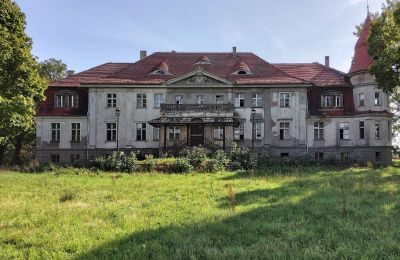 Pałac na sprzedaż Karczewo, Wielkopolskie, Widok zewnętrzny