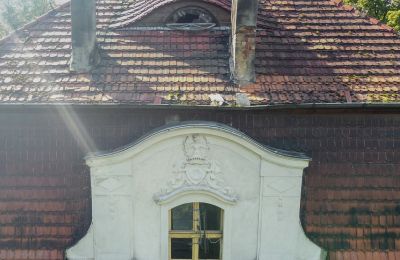 Pałac na sprzedaż Karczewo, Wielkopolskie, Dach