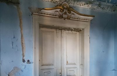 Zabytkowa willa na sprzedaż Lubsko, Milosza 2, Lubuskie, Detale architektoniczne