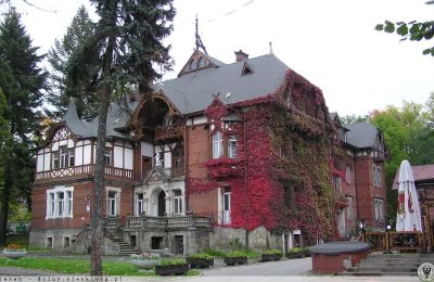 Zabytkowa willa na sprzedaż Kudowa-Zdrój, Zdrojowa 36, Dolnośląskie,, Zdjęcie 4/6