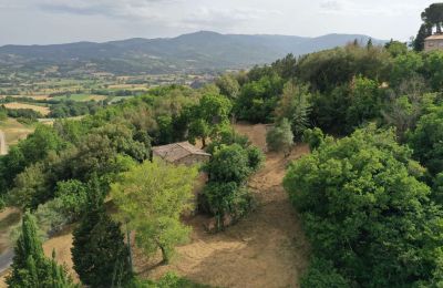 Wiejski dom na sprzedaż Città di Castello, Umbria, Zdjęcie 3/23