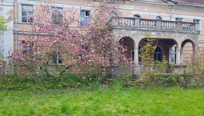 Klejnot: Pałac w Granówku