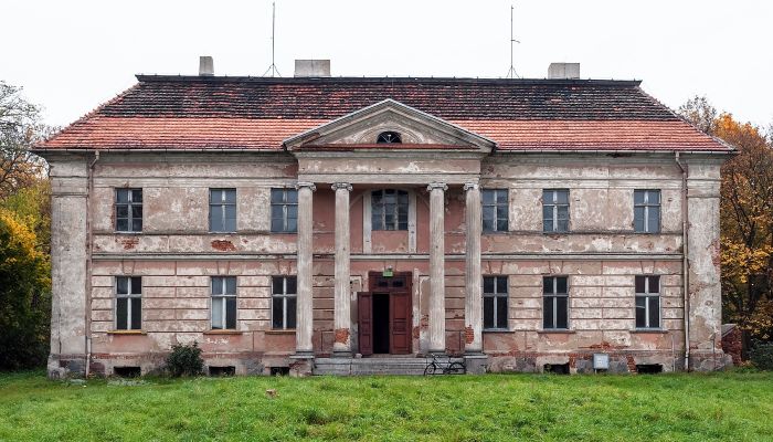 Pałac na sprzedaż Granówko, województwo wielkopolskie,  Polska