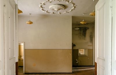 Dwór na sprzedaż Granówko, Wielkopolskie, Wnętrze