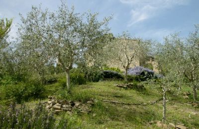 Kościół na sprzedaż 06060 Lisciano Niccone, Umbria, Zdjęcie 23/30