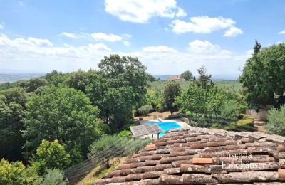 Dom na wsi na sprzedaż Monte San Savino, Toskania:  RIF 3008 Pool und Umgebung