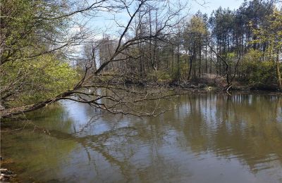 Zabytkowy park na sprzedaż Dębe Wielkie, Ruda, Mazowieckie, Jezioro/staw