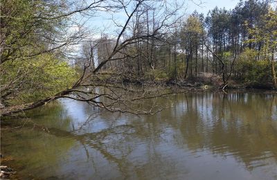 Zabytkowy park na sprzedaż Dębe Wielkie, Ruda, województwo mazowieckie:  