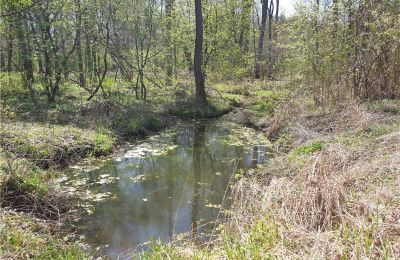 Zabytkowy park na sprzedaż Dębe Wielkie, Ruda, województwo mazowieckie:  