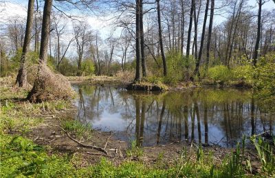 Zabytkowy park na sprzedaż Dębe Wielkie, Ruda, Mazowieckie, Zdjęcie 9/24