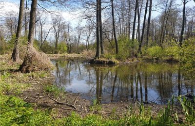 Zabytkowy park na sprzedaż Dębe Wielkie, Ruda, województwo mazowieckie:  