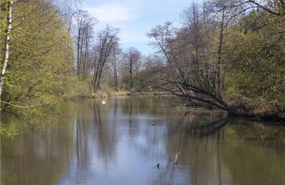 Zabytkowy park na sprzedaż Dębe Wielkie, Ruda, województwo mazowieckie:  