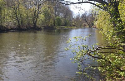 Zabytkowy park na sprzedaż Dębe Wielkie, Ruda, województwo mazowieckie:  