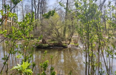 Zabytkowy park na sprzedaż Dębe Wielkie, Ruda, Mazowieckie, Zdjęcie 17/24