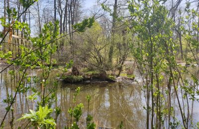 Zabytkowy park na sprzedaż Dębe Wielkie, Ruda, województwo mazowieckie:  