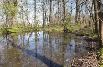 Zabytkowy park na sprzedaż Dębe Wielkie, Ruda, Mazowieckie, Zdjęcie 16/24