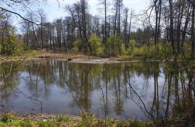 Zabytkowy park na sprzedaż Dębe Wielkie, Ruda, województwo mazowieckie:  