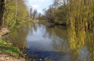 Zabytkowy park na sprzedaż Dębe Wielkie, Ruda, Mazowieckie, Zdjęcie 22/24