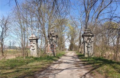 Zabytkowy park na sprzedaż Dębe Wielkie, Ruda, Mazowieckie, Wjazd