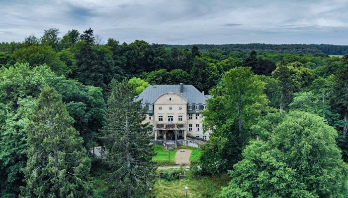 Pałac na sprzedaż Trzcinno, Pomorskie,  Polska