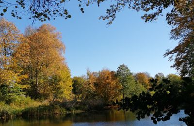 Pałac na sprzedaż Trzcinno, Trzcinno 21, Pomorskie, Jezioro/staw