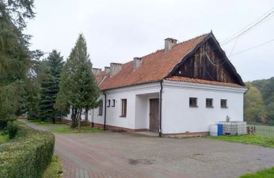 Pałac na sprzedaż Czyżów Szlachecki, Świętokrzyskie, Oficyna
