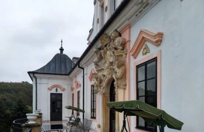 Pałac na sprzedaż Czyżów Szlachecki, Świętokrzyskie, Zdjęcie 2/14