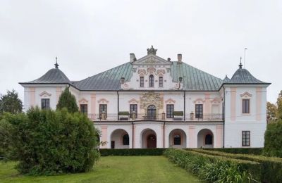 Pałac na sprzedaż Czyżów Szlachecki, Świętokrzyskie, Widok zewnętrzny