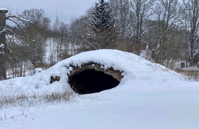Dwór na sprzedaż Gatarta, Gatartas Muiža, Vidzeme, Cave