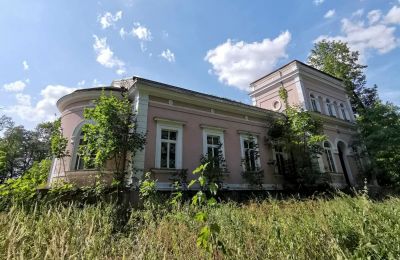 Dwór na sprzedaż Lubiatów, Dwór w Lubiatowie, Łódzkie, Widok zewnętrzny