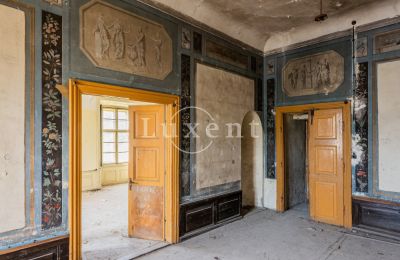 Pałac na sprzedaż Cítoliby, Zamek Cítoliby, Ústecký kraj, Detale architektoniczne