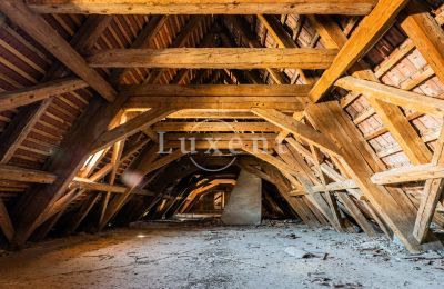 Pałac na sprzedaż Cítoliby, Zamek Cítoliby, Ústecký kraj, Dach