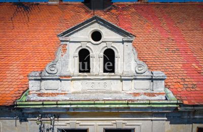 Pałac na sprzedaż Brody, Zámek Brody, okres Louny, Detale architektoniczne