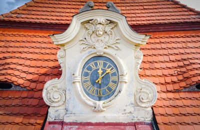 Pałac na sprzedaż Mirošov, Zámek Mirošov, okres Rokycany, Detale architektoniczne