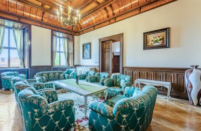 Pałac na sprzedaż Mirošov, Zámek Mirošov, okres Rokycany, Zdjęcie 11/32