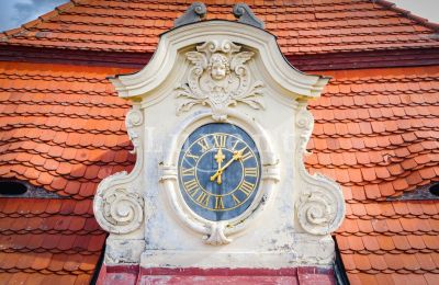 Posiadłości, Zamek w Miroszowie, Czechy